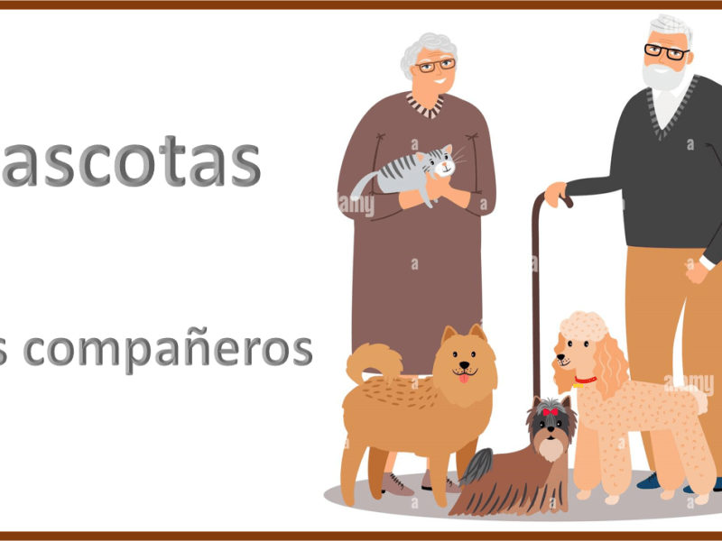 Mascotas. Fieles compañeros